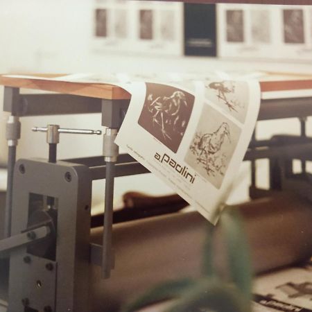 B&B Il Torchio-Urbino Luaran gambar