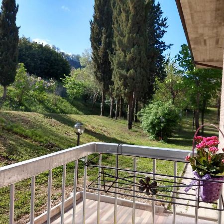 B&B Il Torchio-Urbino Luaran gambar