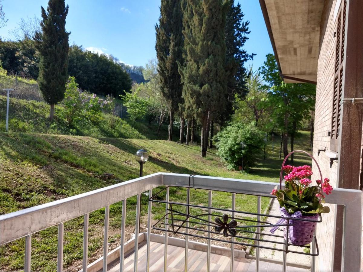 B&B Il Torchio-Urbino Luaran gambar